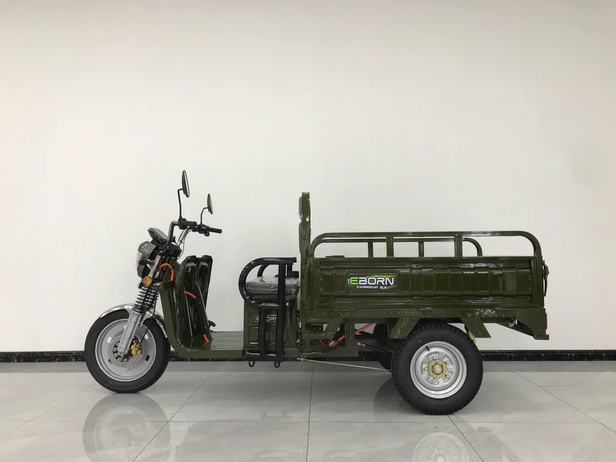 EBORN CARGO CAT 2 V2