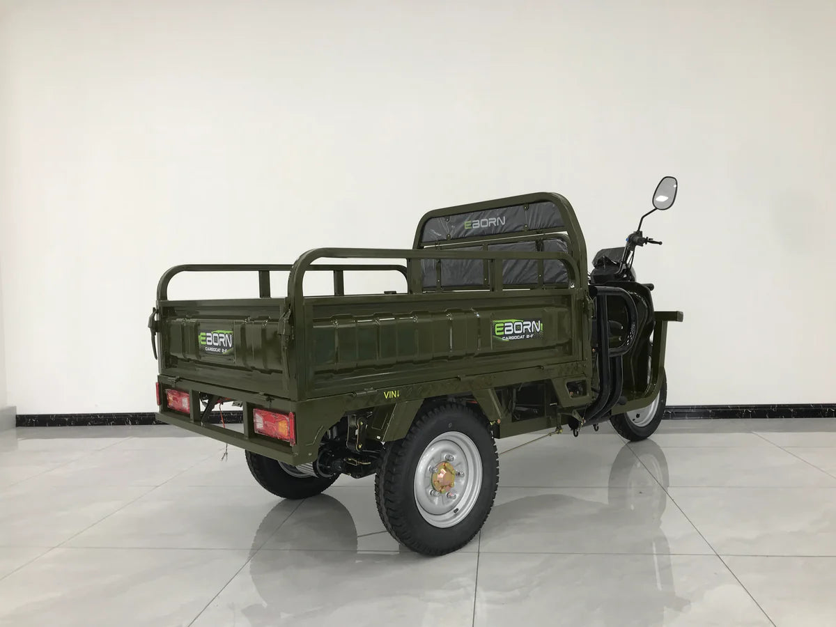 EBORN CARGO CAT 2 V2
