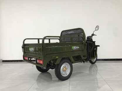 EBORN CARGO CAT 2 V2