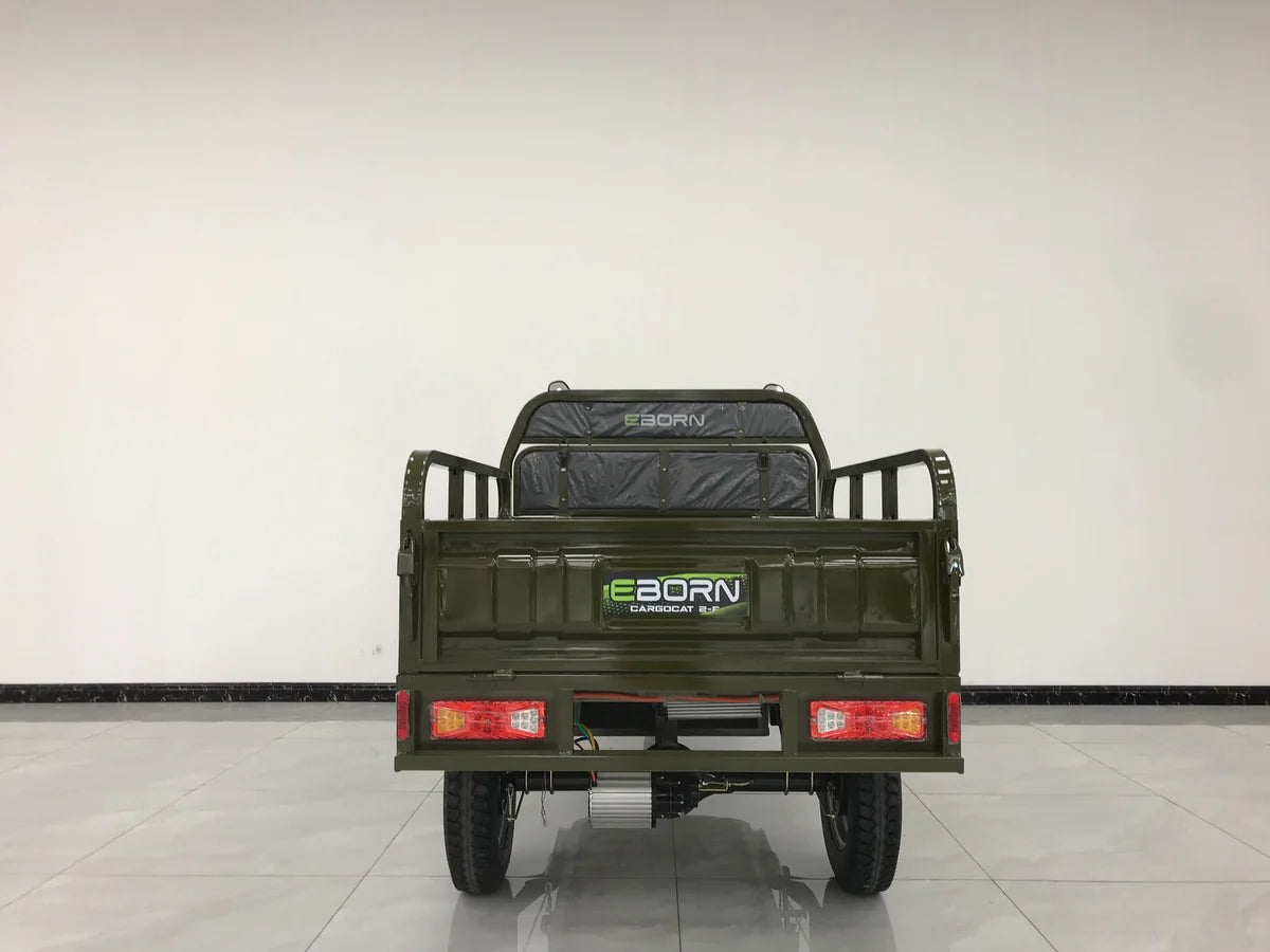 EBORN CARGO CAT 2 V2