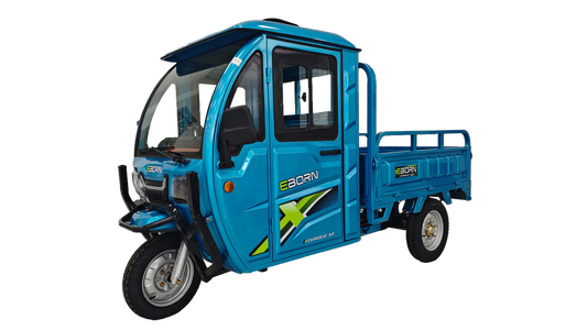 EBORN CARGO CAT 3 V2