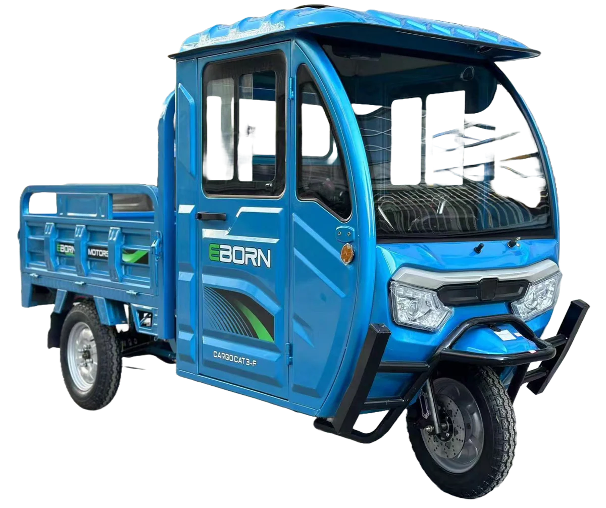 EBORN CARGO CAT 3 V1